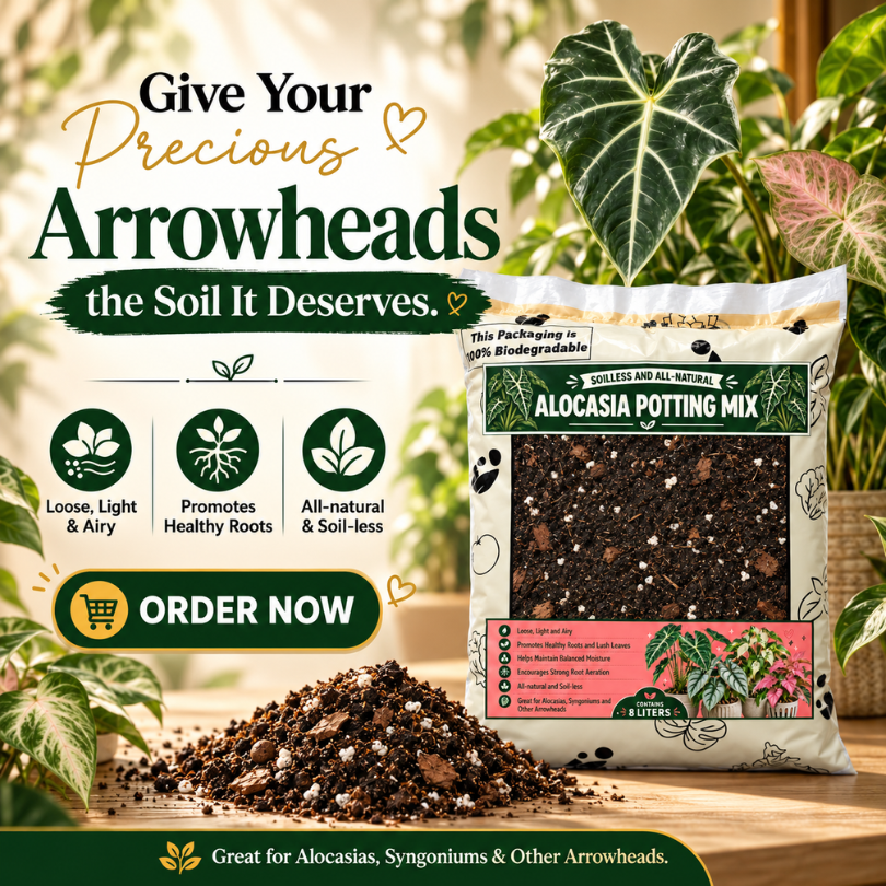 8L Premium Alocasia Potting Mix  - Soilless Growing Medium for Alocasias and Arrowheads - Container planting mix for Alocasia and other arrowhead plants | The Urban Gardening Shop