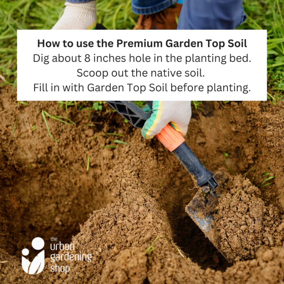 Garden Top Soil for In-ground Gardening