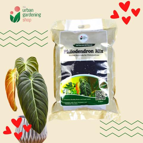 8-liter Philodendron Mix - Soilless Potting Mix For Philodendron Plants