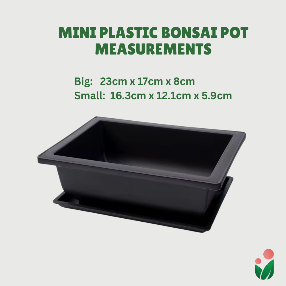 Rectangular Bonsai Pot with Catch Plate (Plastic)