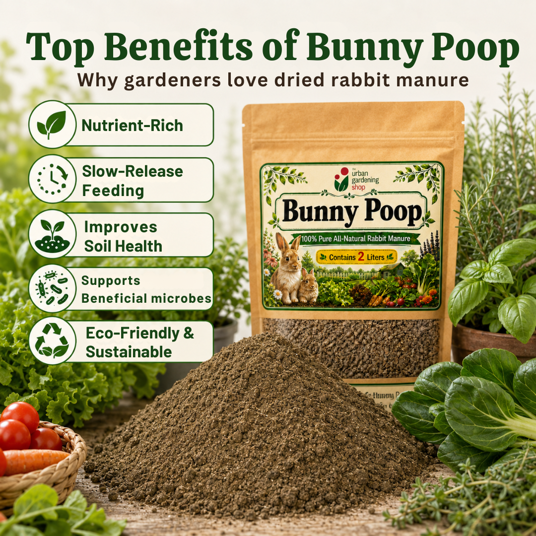 Bunny Poop Dried Rabbit Manure 2L | All Natural  Chemical Free Non Toxic Soil Amendment and Organic Plant Nutrient for All Types of Plants including Herbs, Vegetables, Ornamental Plants, Succulents and Tropical Houseplants