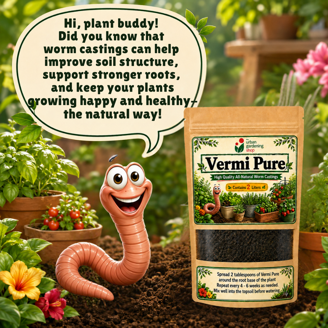 Vermi Pure Premium Worm Castings 2L – Pure Vermicast Soil Amendment for Potted Plants, Vegetables, Herbs & Houseplants