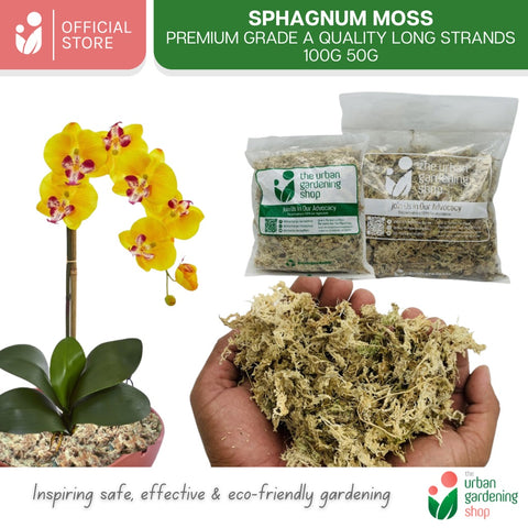 SPHAGNUM MOSS - High Quality Moss - Best for Orchids and Pet Bedding