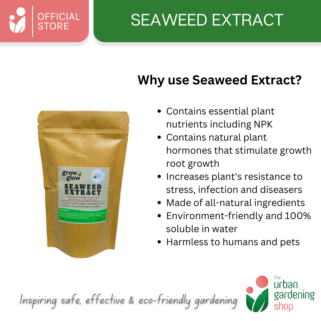 Seaweed Extract- All-Natural Revitalizer for Potting Mix and Garden Soils