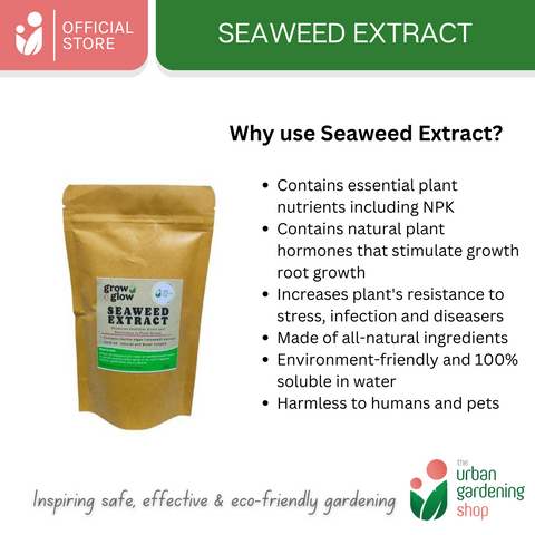 Seaweed Extract-  All-Natural Revitalizer for Potting Mix and Garden Soils
