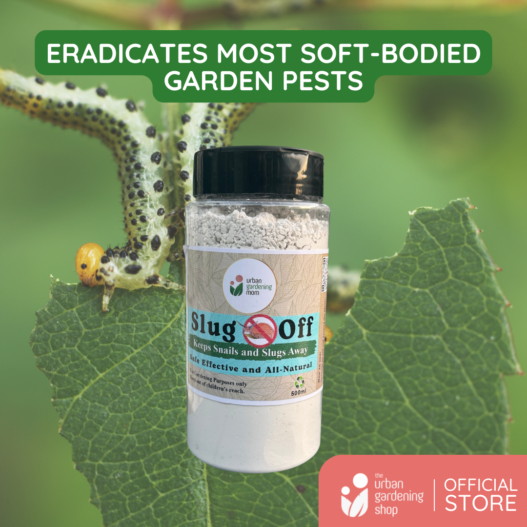 Slug Off - All-Natural and Chemical- Free Solution to Fight Garden Pests