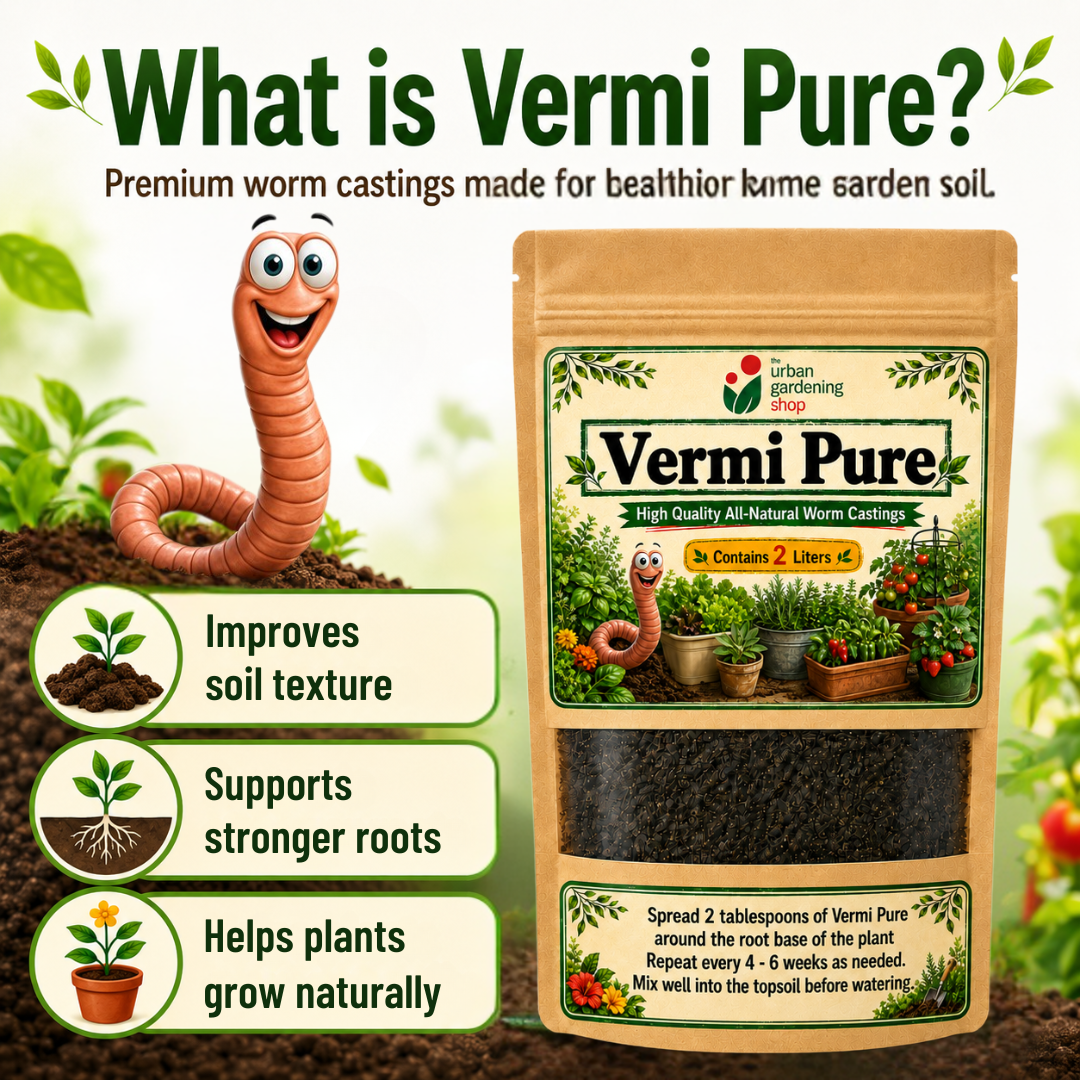 Vermi Pure Premium Worm Castings 2L – Pure Vermicast Soil Amendment for Potted Plants, Vegetables, Herbs & Houseplants