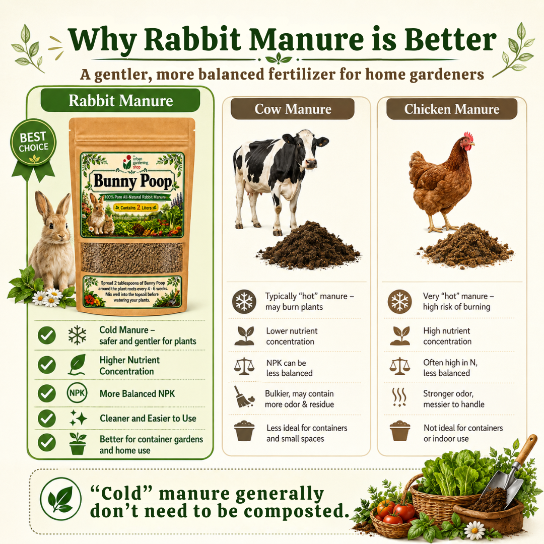 Bunny Poop Dried Rabbit Manure 2L | All Natural  Chemical Free Non Toxic Soil Amendment and Organic Plant Nutrient for All Types of Plants including Herbs, Vegetables, Ornamental Plants, Succulents and Tropical Houseplants