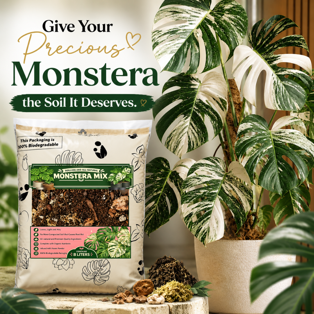 8L Monstera Soilless Potting Mix