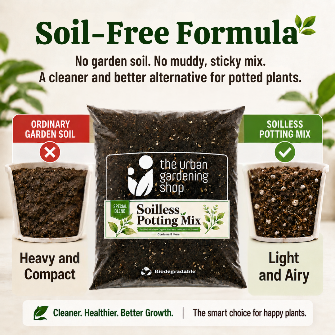All-Purpose Soilless Potting Mix [Fortified Premium Mix]