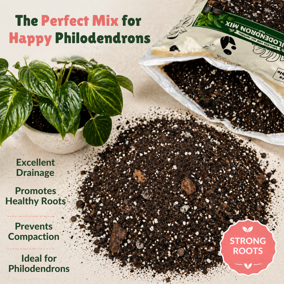 is soilless potting mix good 8L Philodendron Soilless Potting Mix for Houseplants