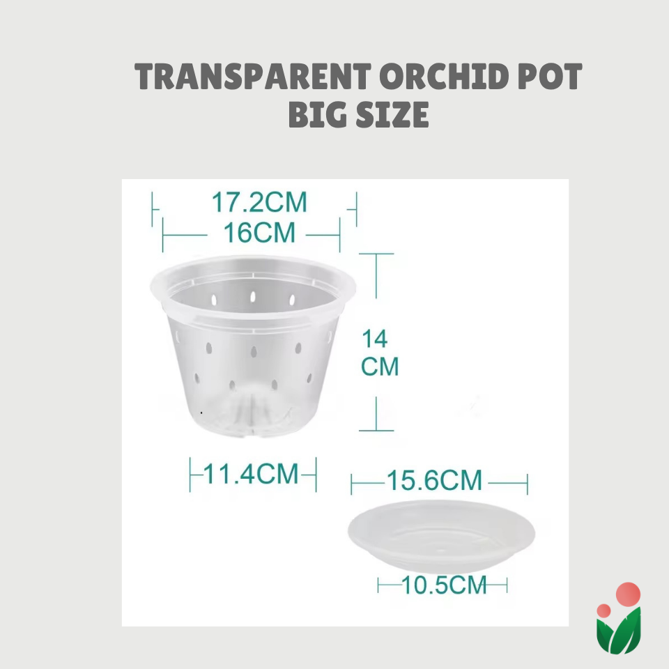 Breathable and Transparent Orchid Pot with Catch Plate