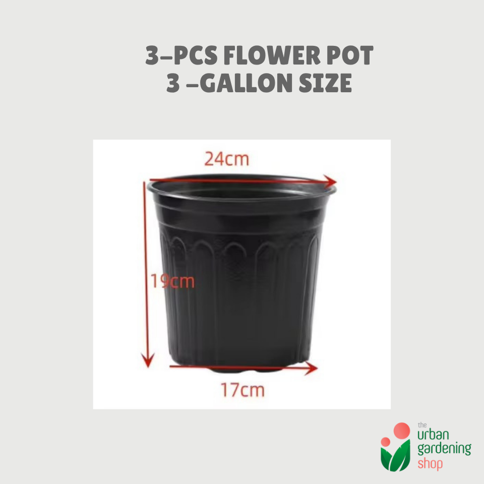 3-pcs Plastic Flower Pot (Includes 3 FREE Plant Saucers)
