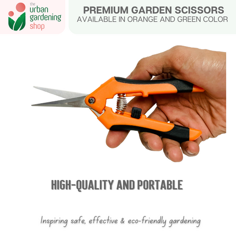 Pointed Pruning Shears For Pruning, Cutting and Trimming Leaves and Stems