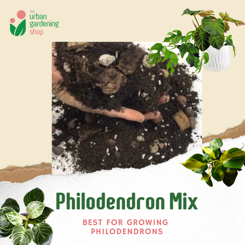 8-liter Philodendron Mix - Soilless Potting Mix For Philodendron Plants