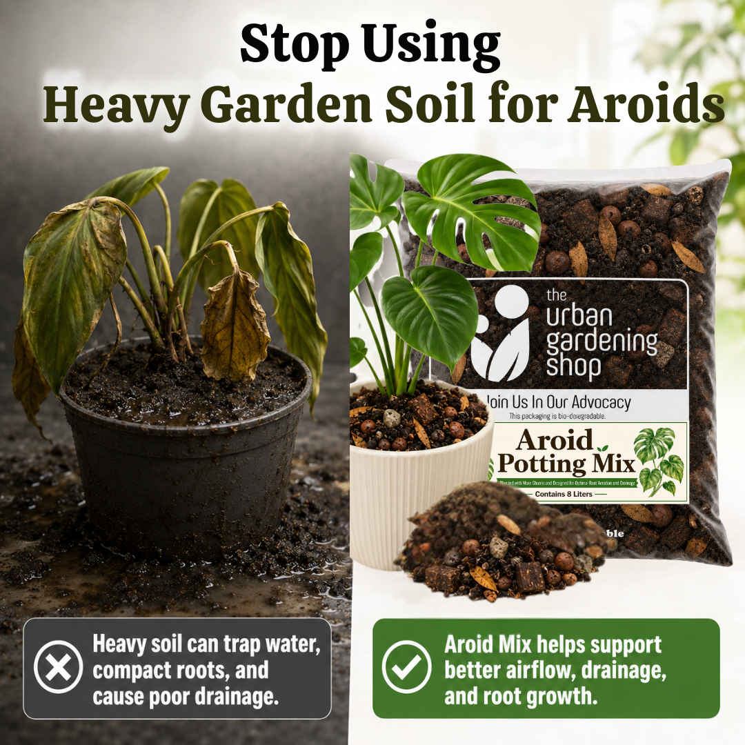 8L Aroid Potting Mix [Aroid Mix] for Monstera, Philodendron, Alocasia, Syngonium & Most Types of Tropical Aroid Houseplants | Chunky Well-Draining Soil Media | Better Alternative to Garden Soil or Loam Soil
