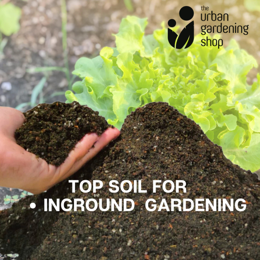 Garden Top Soil for In-ground Gardening