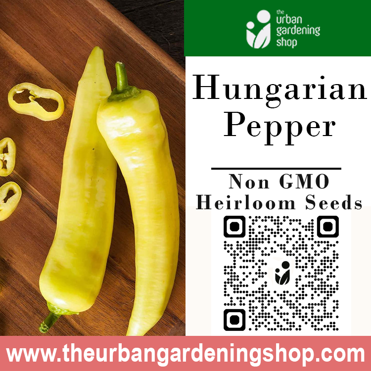 Premium Non-GMO Seeds - Hungarian Yellow Hot Wax Pepper