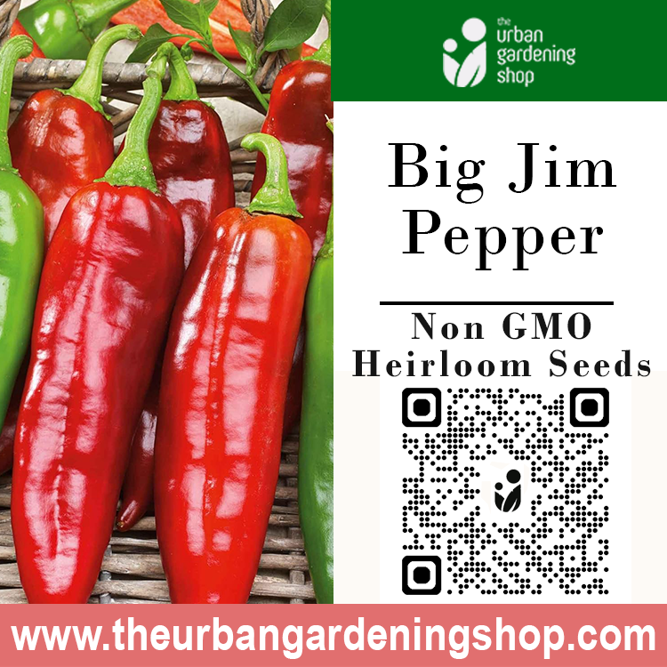 Premium Non-GMO Seeds - Big Jim Pepper