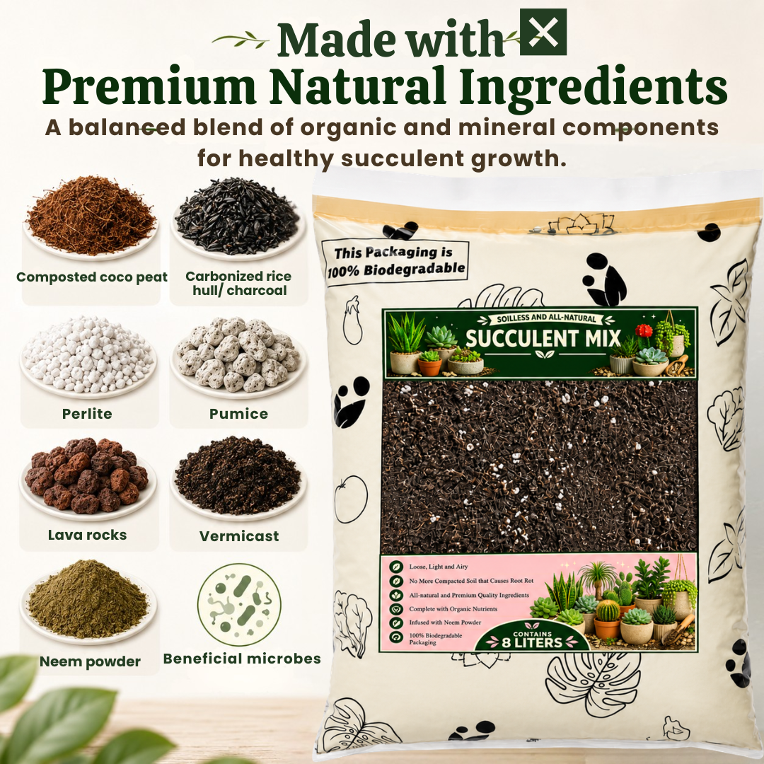 8-liter PREMIUM SUCCULENT POTTING MIX - High Quality Soilless Media for Cacti and Succulents