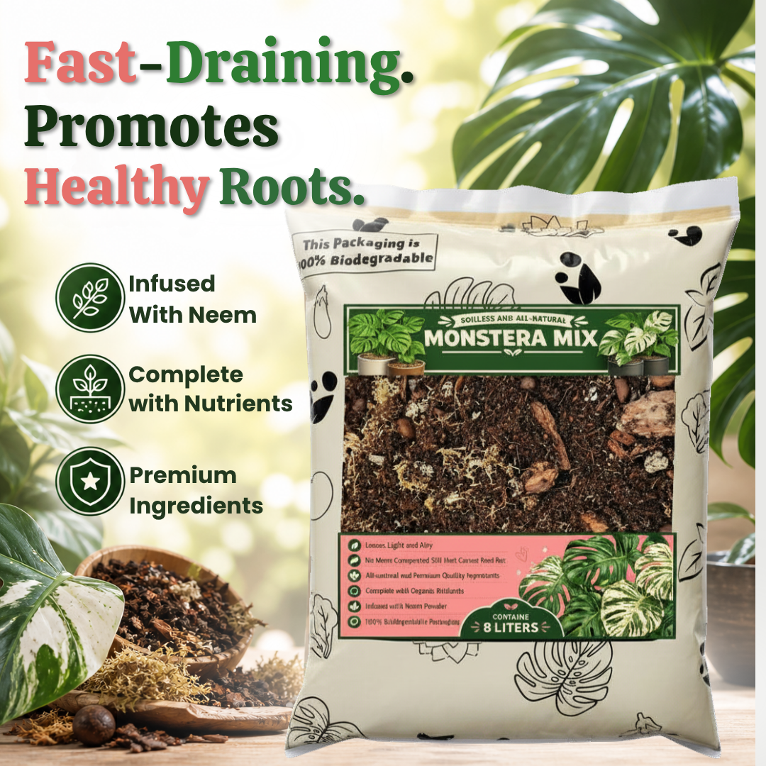 8L Monstera Soilless Potting Mix