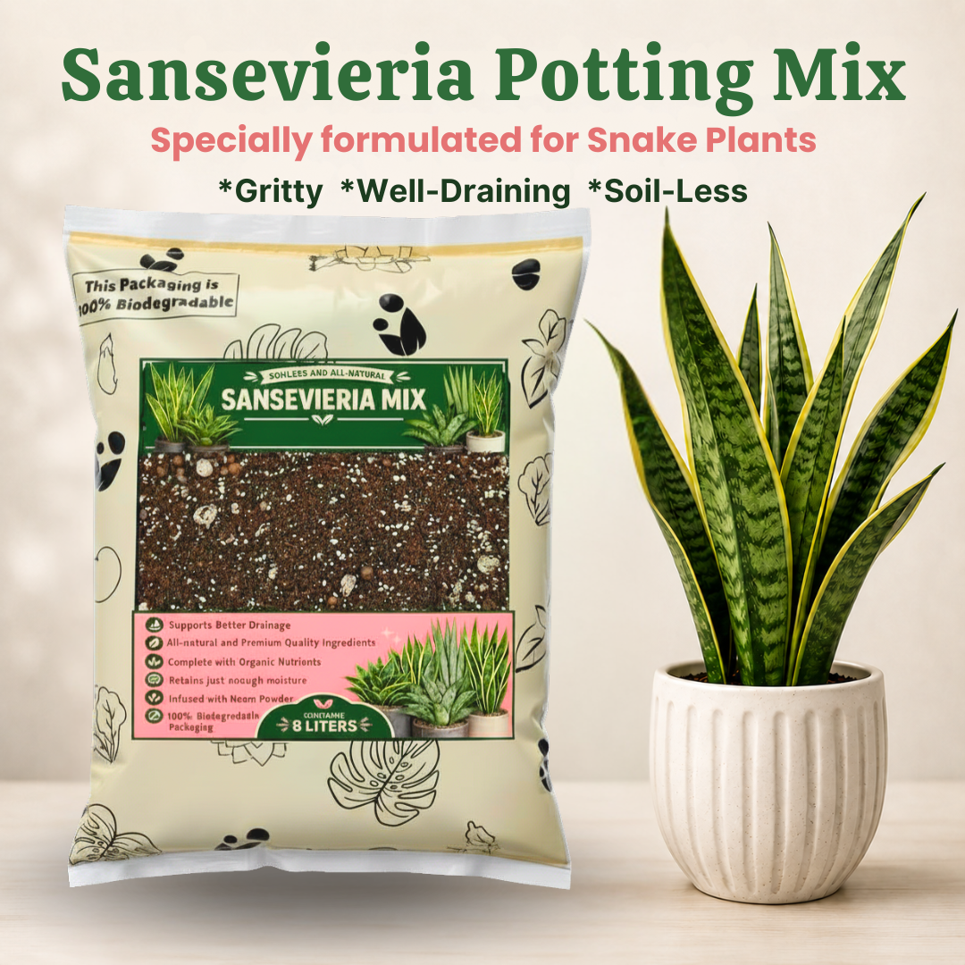 can i use potting mix for snake plant 8L Sansevieria Potting Mix | Snake Plant Soil-Less Gritty Mix