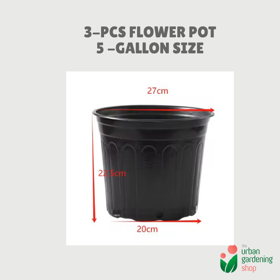 3-pcs Plastic Flower Pot (Includes 3 FREE Plant Saucers)