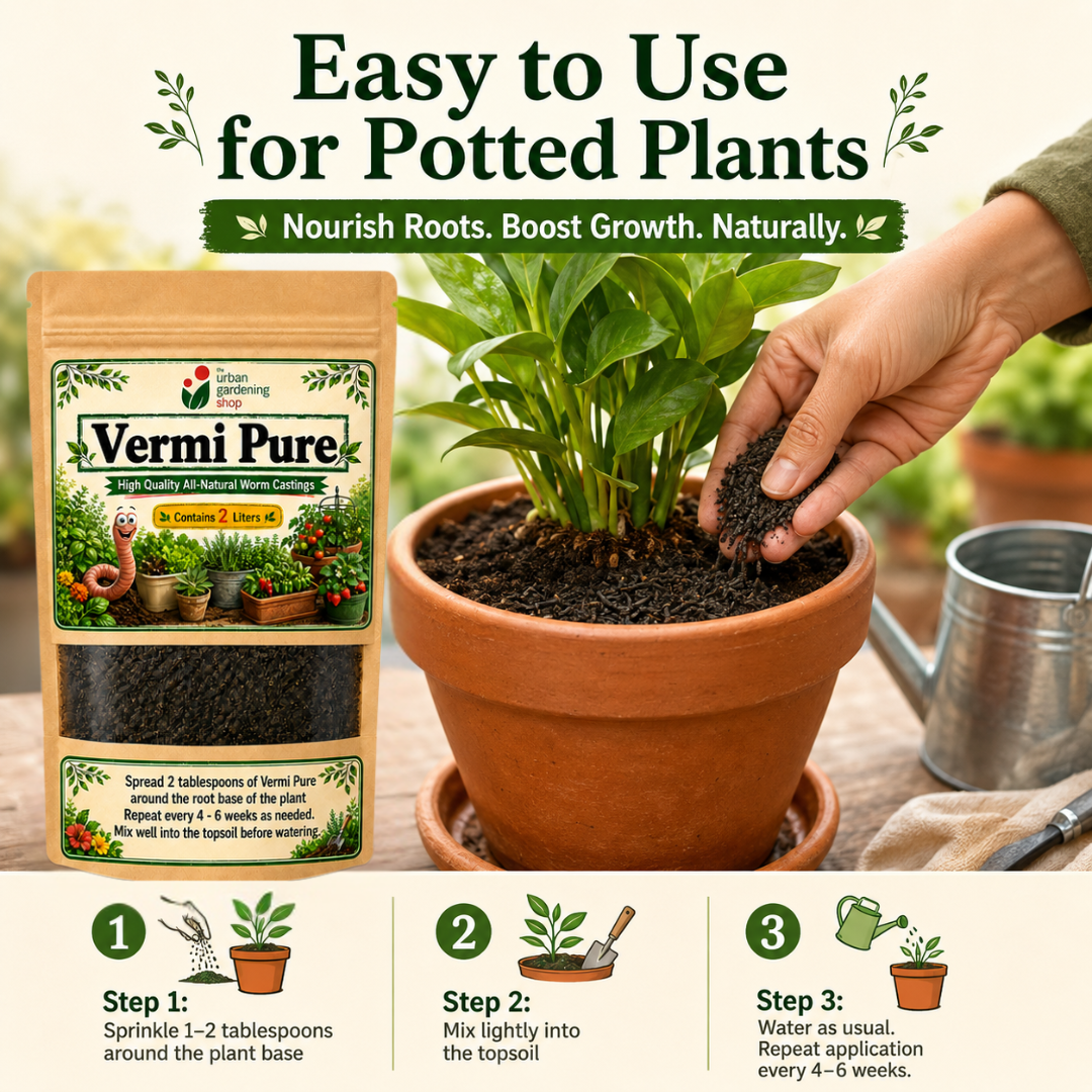 Vermi Pure Premium Worm Castings 2L – Pure Vermicast Soil Amendment for Potted Plants, Vegetables, Herbs & Houseplants