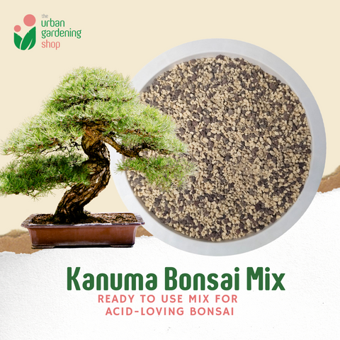 1-liter Kanuma Bonsai Mix - Pre-mixed and Ready to Use