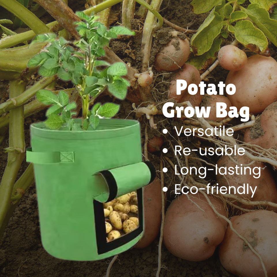 Potato Grow Bags [Ideal for Growing Root Crops like Potatoes)