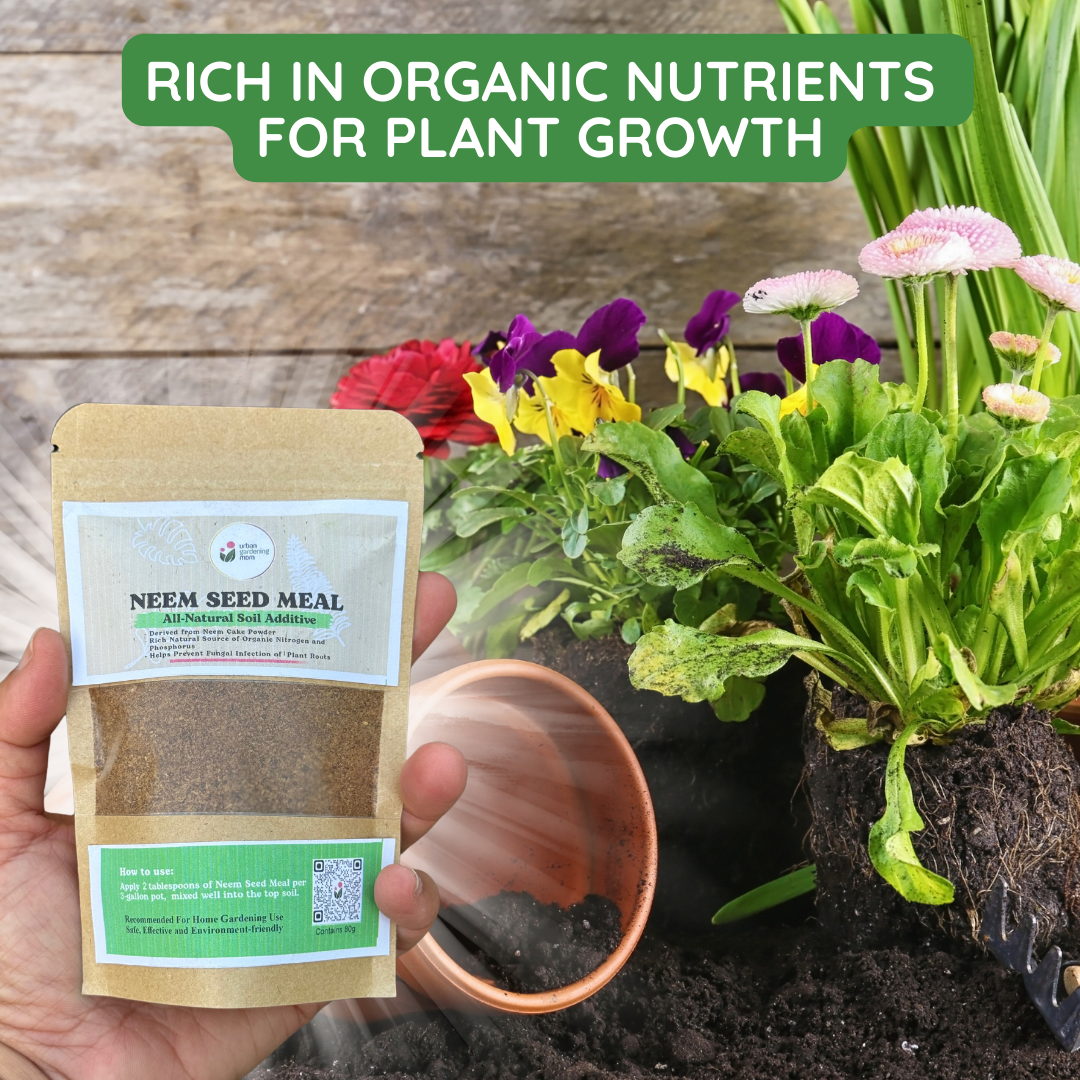 Neem Seed Meal - All - Natural Soil Additive Derived from Ground Neem Cake Powder