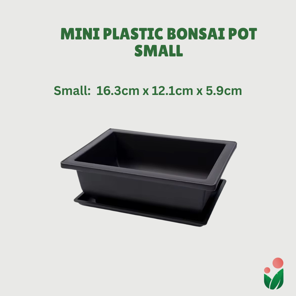 Rectangular Bonsai Pot with Catch Plate (Plastic)