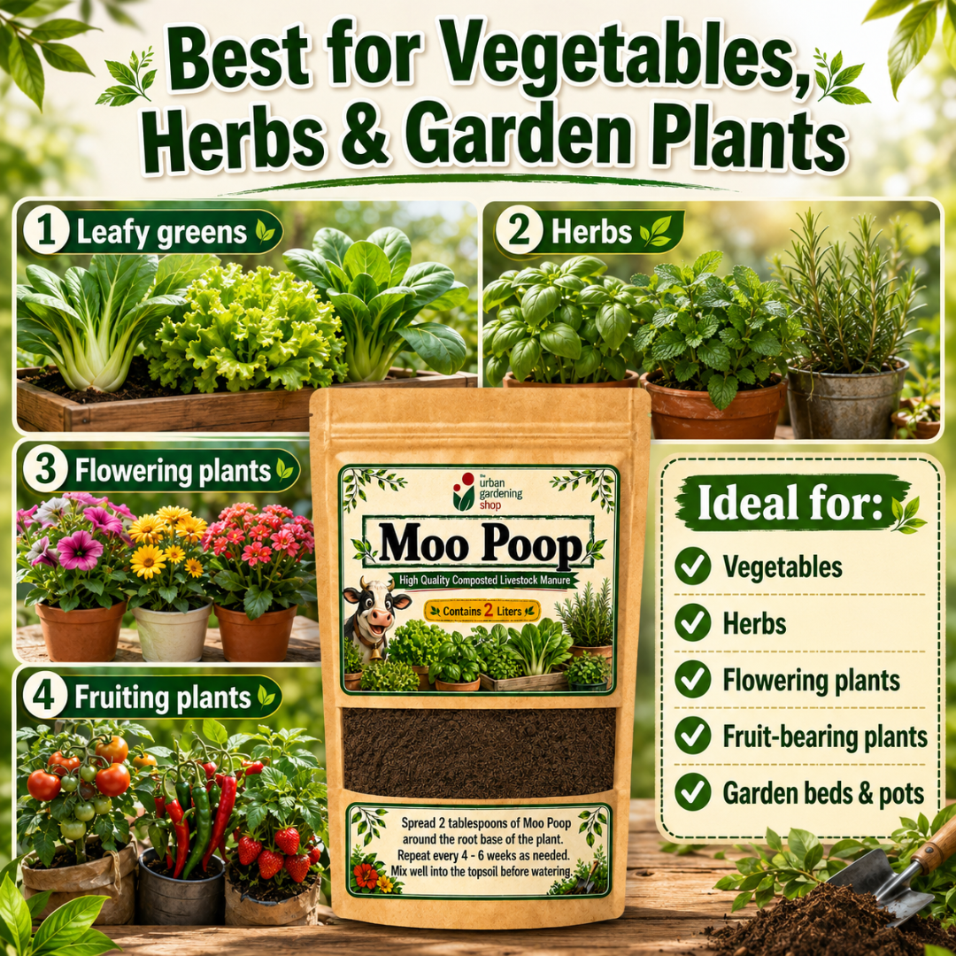 Moo Poop Composted Cow Manure 2L Soil Conditioner for Plants, Vegetables, Herbs & Garden Soil