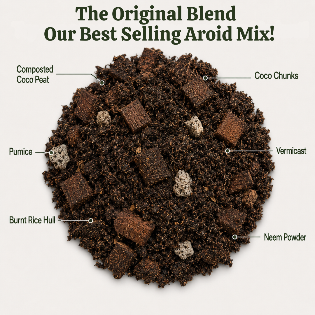 8L Aroid Potting Mix [Aroid Mix] for Monstera, Philodendron, Alocasia, Syngonium & Most Types of Tropical Aroid Houseplants | Chunky Well-Draining Soil Media | Better Alternative to Garden Soil or Loam Soil