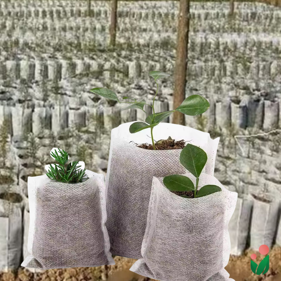 non woven plant 25 pcs Non Woven Fabric Seedling Nursery Pots – Urban Gardening Mom