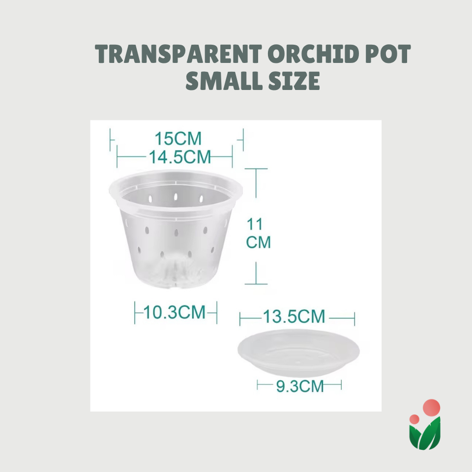 Breathable and Transparent Orchid Pot with Catch Plate