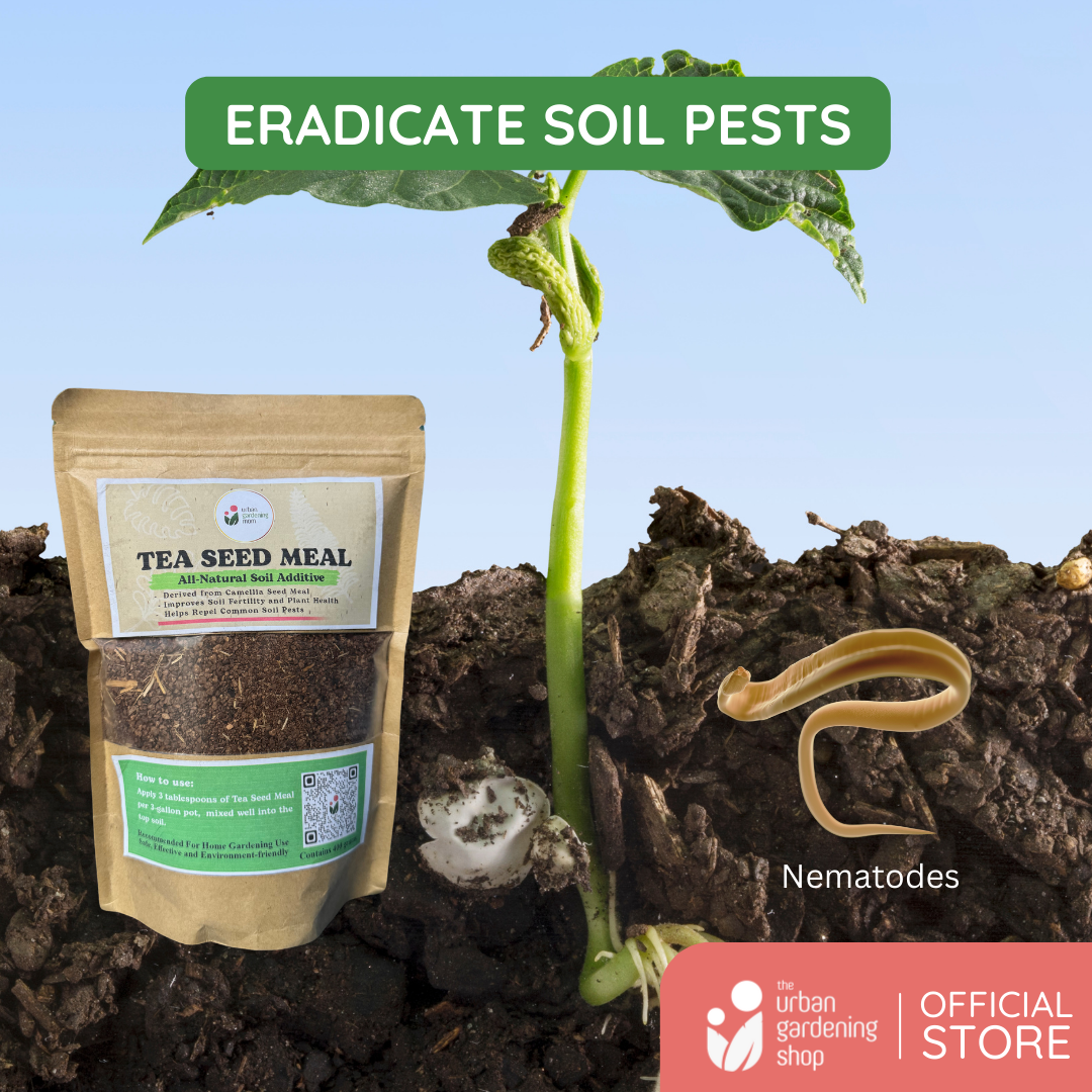 Tea Seed Meal - All Natural Plant Growth and Soil / Potting Mix Conditioner