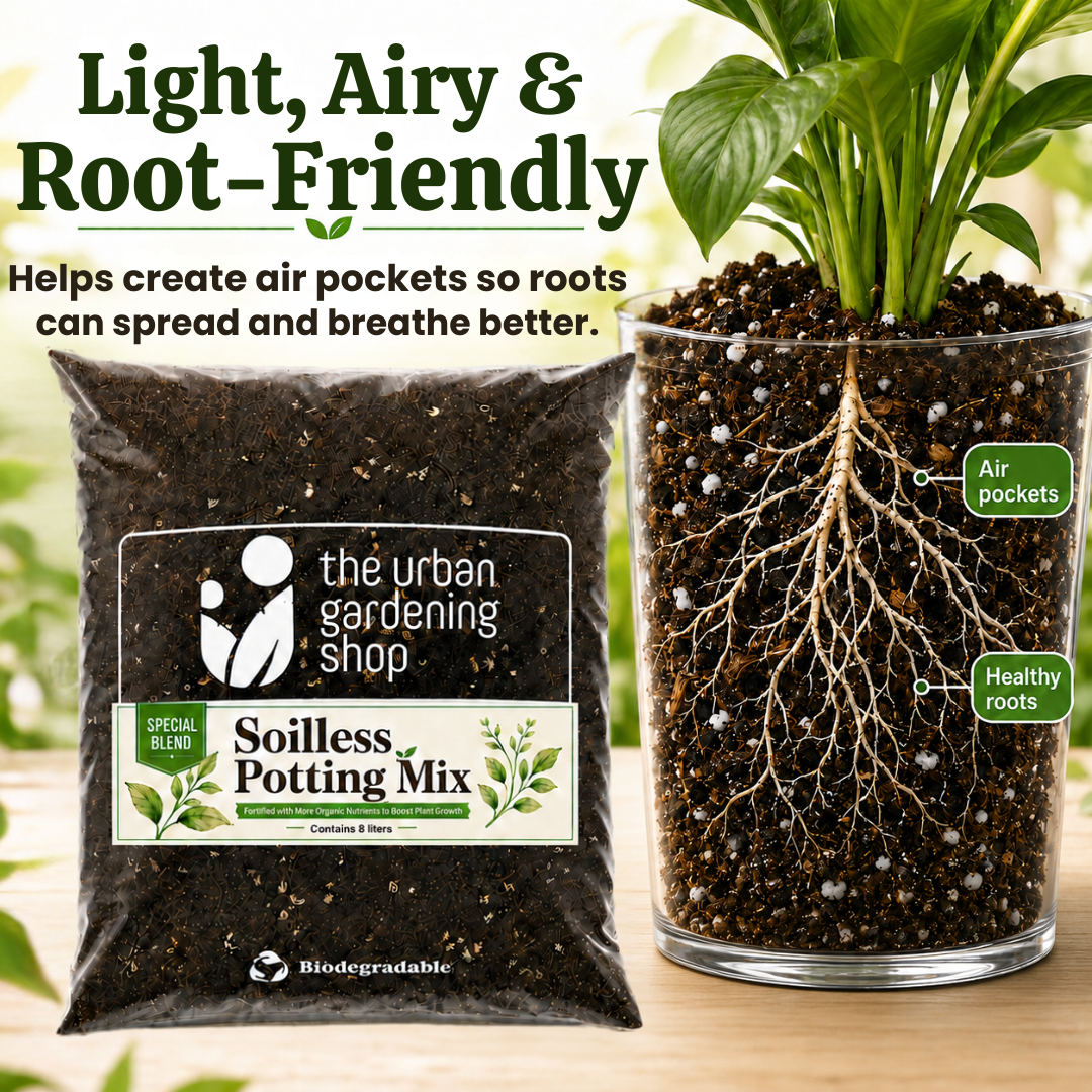 All-Purpose Soilless Potting Mix [Fortified Premium Mix]