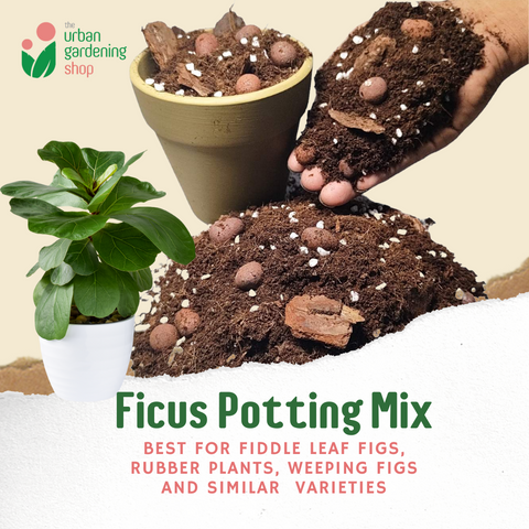8-Liter Ficus Mix  - Soilless Potting Mix for Ficus (Rubber Plants)