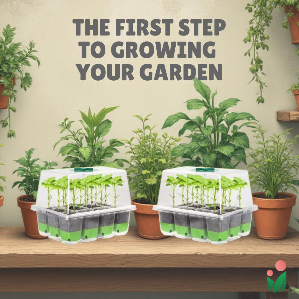 Premium Seed Starter Set - Complete with Silicone Seed Strater Tray, Humidity Dome, Starting Mix, Seed Packet, Grow Guide and Freebie
