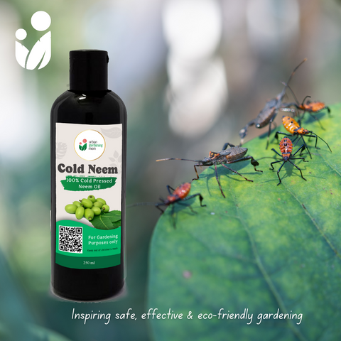 COLD NEEM 100% Pure Neem Oil Extracted from Neem Seeds using Cold Press Method