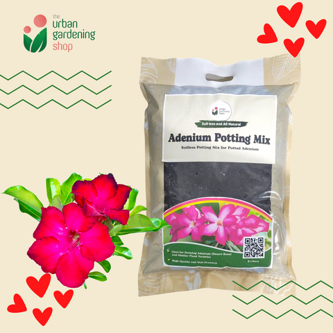 8-liter Adenium Potting Mix - All-Natural Soilless Mix for Potted Adeniums