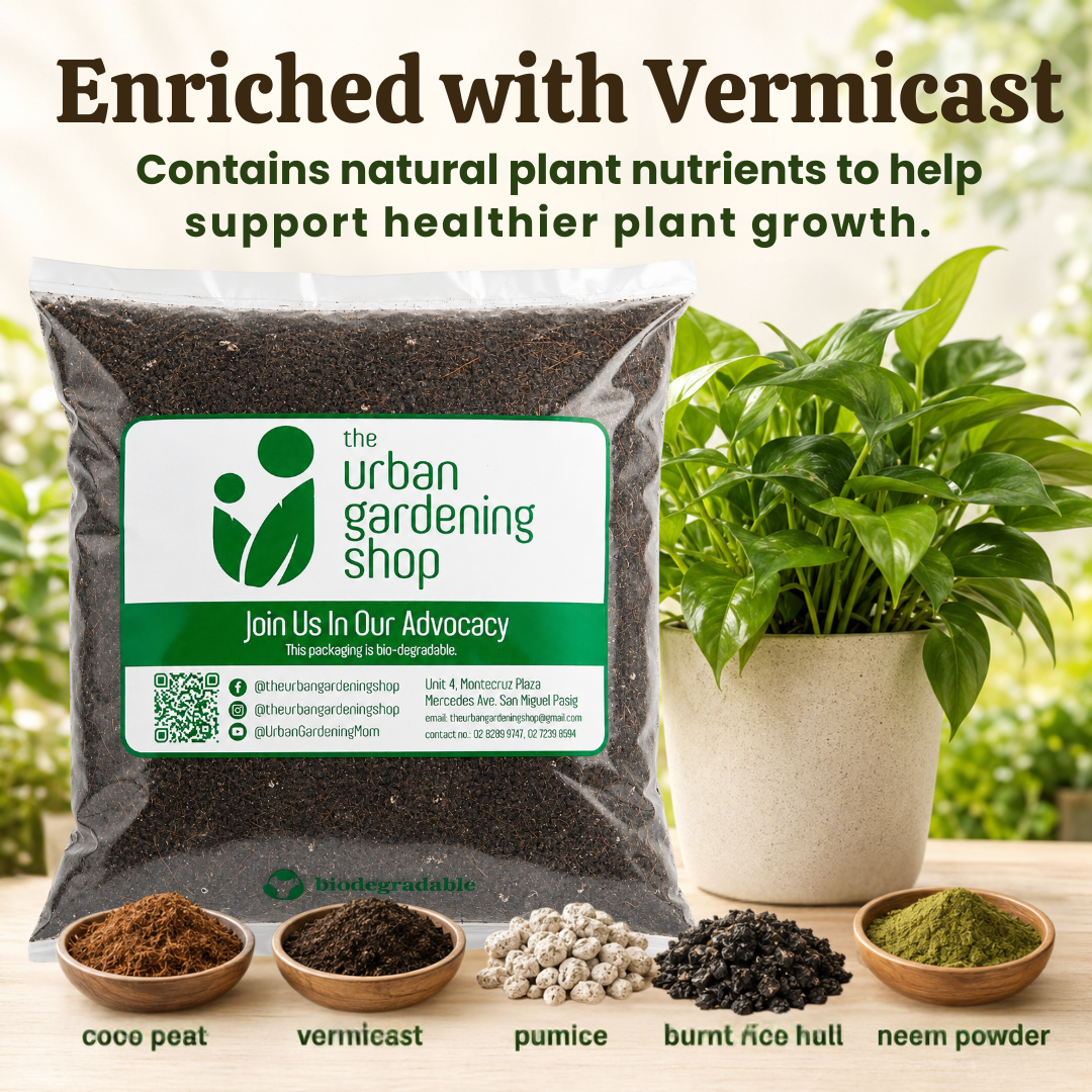 2L All-Purpose Soilless Potting Mix [Small Regular or Fortified Blend]  Packed with Neem, Coco Peat & Vermicast, Quality Grow Media for Potted Garden Plants, Better than Loam Soil or Garden Soil for Indoor & Outdoor Container Gardening