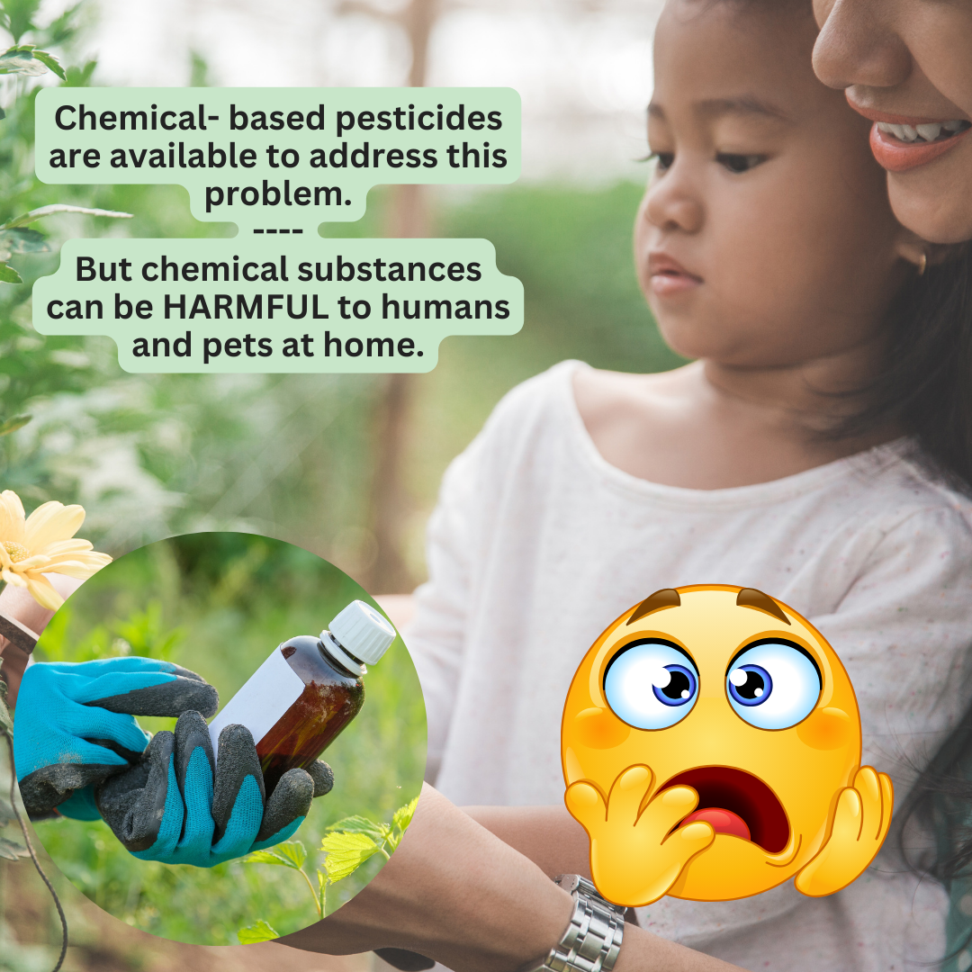 Bye Bye Nematodes - A Safe and Natural Method to Address Soil Pest Problems and Improve Soil Condition
