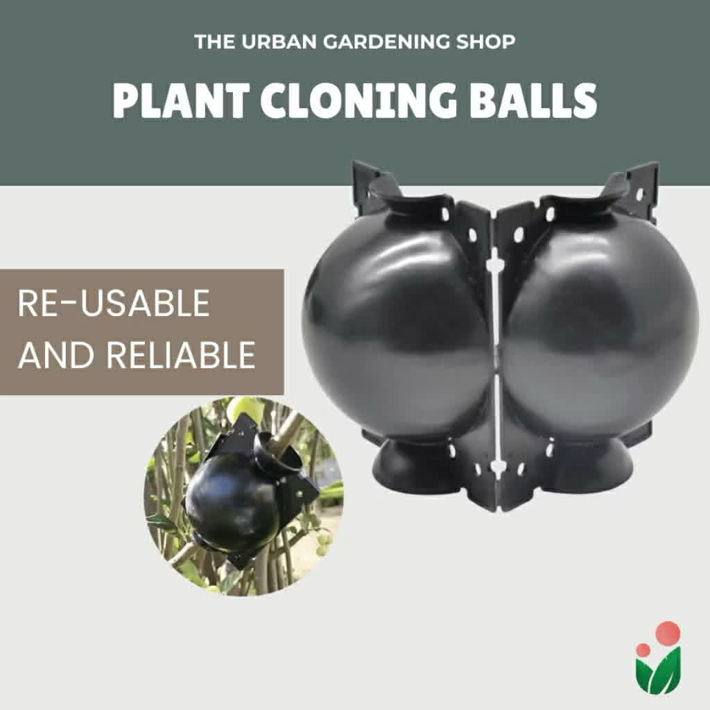 High Pressure Plant Propagation/ Cloning Balls for Grafting - Small, Medium, Large