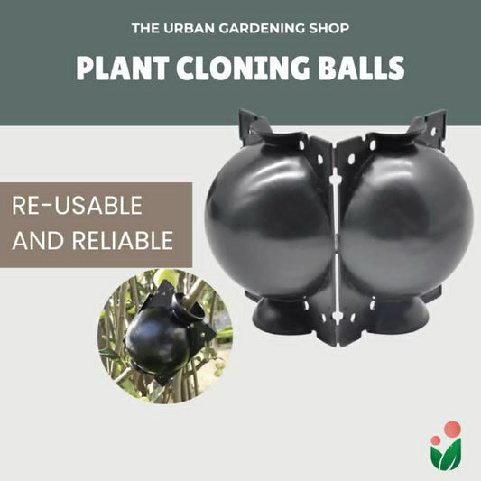 High Pressure Plant Propagation/ Cloning Balls for Grafting - Small, Medium, Large