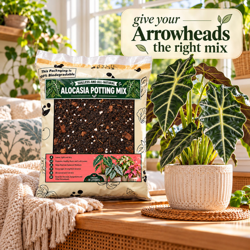 8L Premium Alocasia Potting Mix  - Soilless Growing Medium for Alocasias and Arrowheads - Container planting mix for Alocasia and other arrowhead plants | The Urban Gardening Shop
