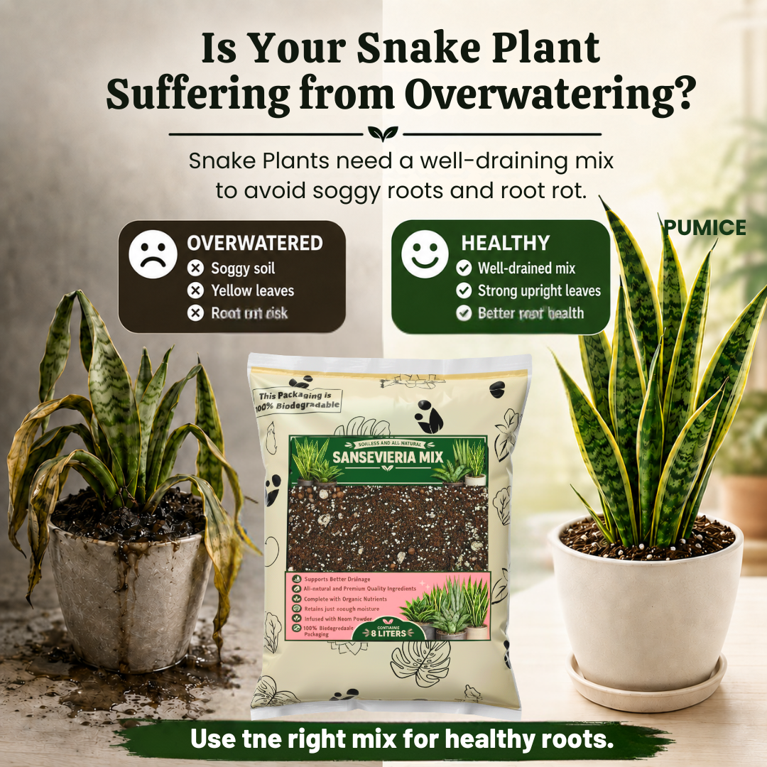 8L Sansevieria Potting Mix | Snake Plant Soil-Less Gritty Mix