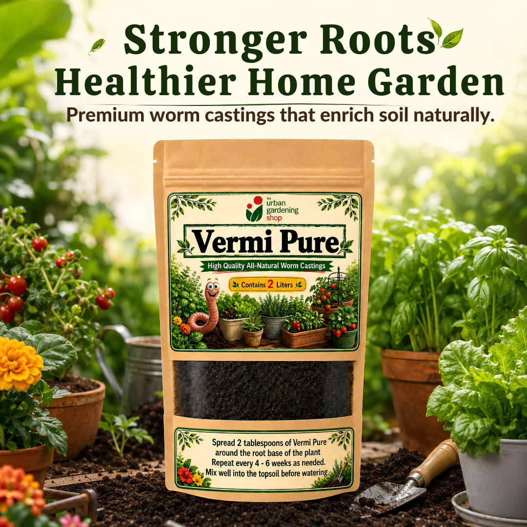 Vermi Pure Premium Worm Castings 2L – Pure Vermicast Soil Amendment for Potted Plants, Vegetables, Herbs & Houseplants