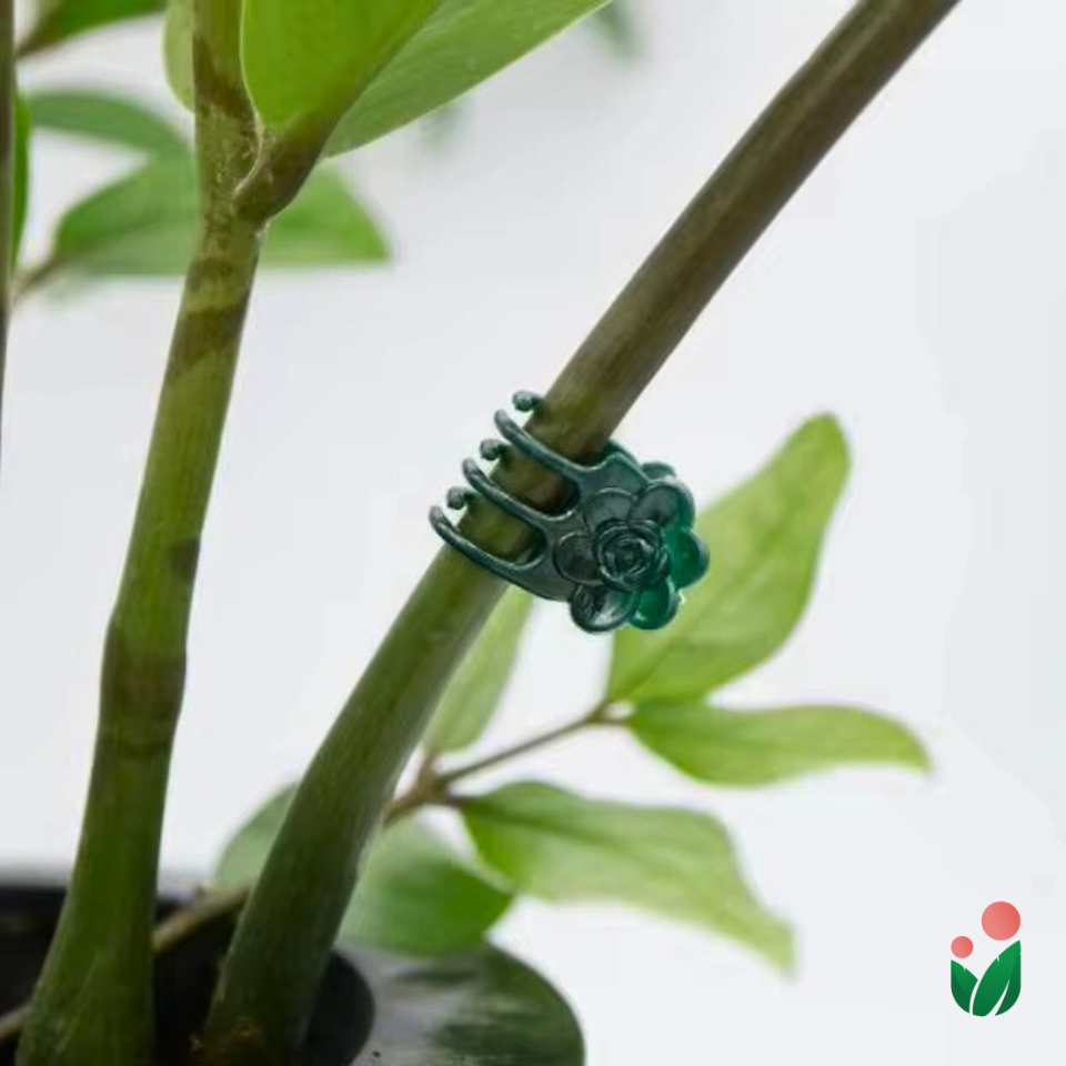 50- pieces Multipurpose Orchid Clips for Stem Support